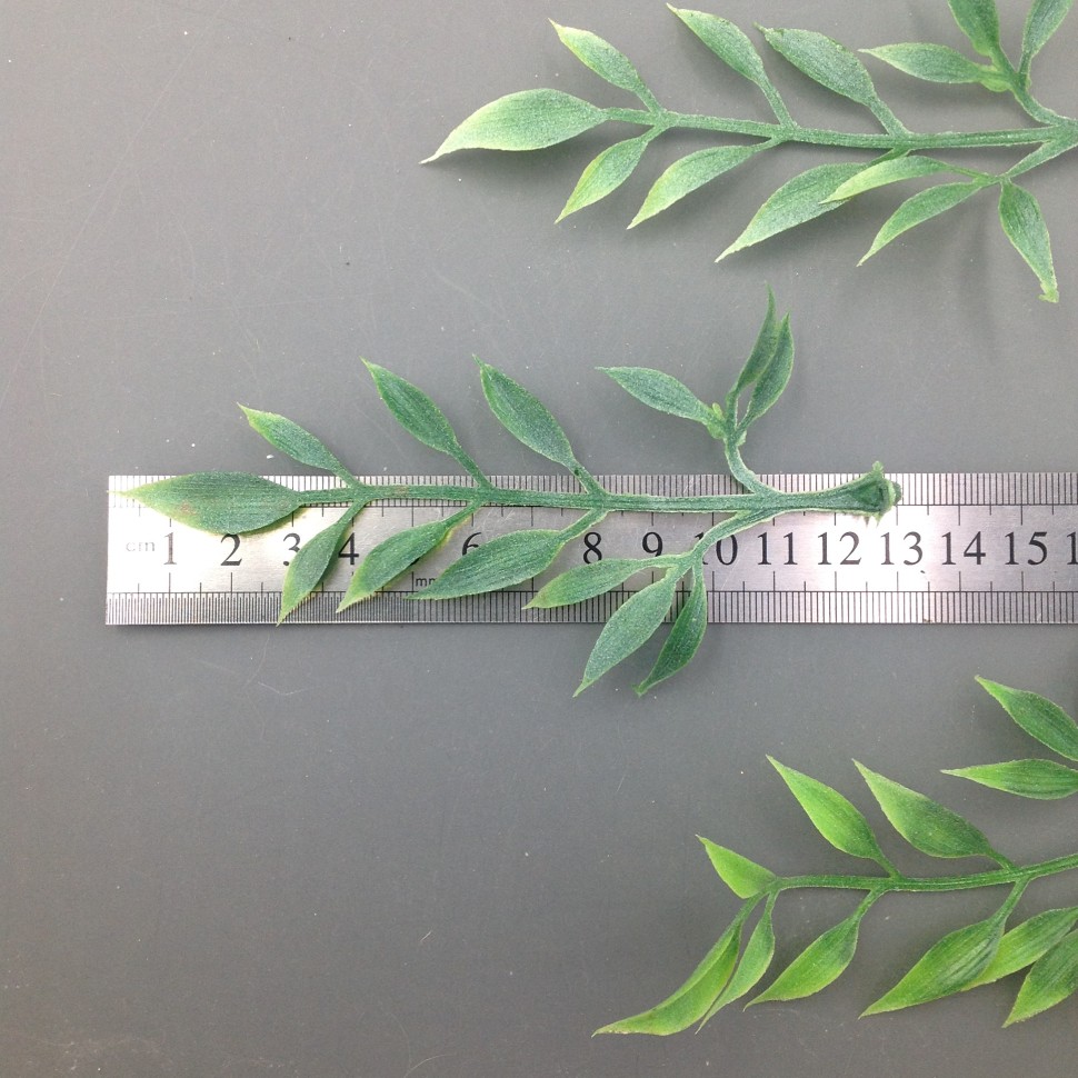 Лист перистый 12,5 см (насадка) Светло-зеленый дымчатый №2134.11