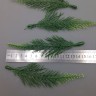 Хвощ лист 14 см Зеленый/светло-зеленый №2133.1