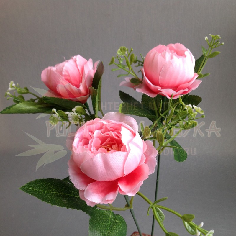 Роза пионовидная 26 см Розовый комби №2175.4