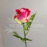 Роза 48 см в ассортименте №2233
