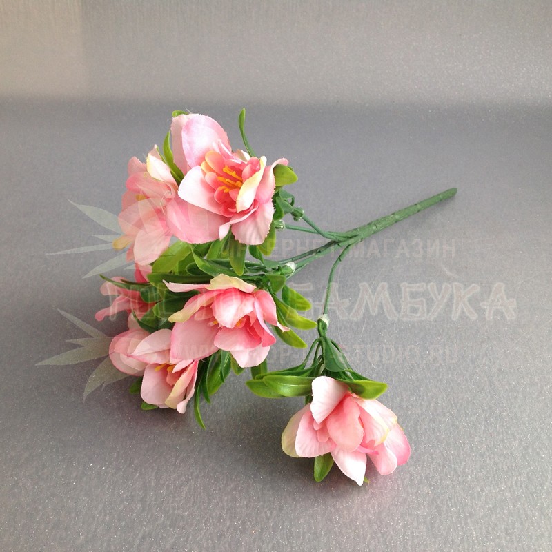 Азалия цветы Розовый №5459.2