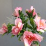 Азалия цветы Розовый №5459.2