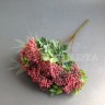 Скимия (ветка с ягодами) Красный дымчатый №2222.2