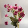 Роза спрей (букет 34 см (5 веток)) Бордовый/розовый антик №2165.6