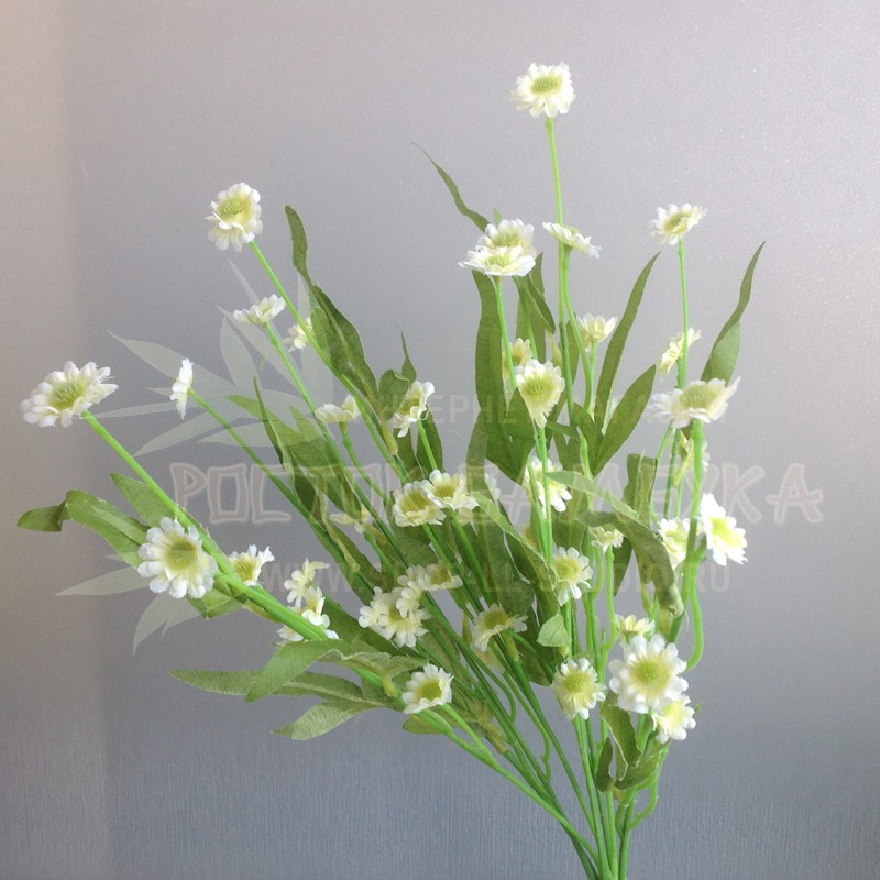 Сентябринка цветок Белый №2685.1