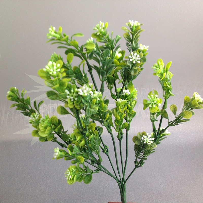 Самшит мелколистный с цветами Зеленый/белый №2136
