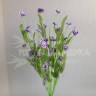 Сентябринка цветок Фиолетовый №2685.5