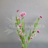 Сентябринка цветок Розово-сиреневый/белый №2685.6