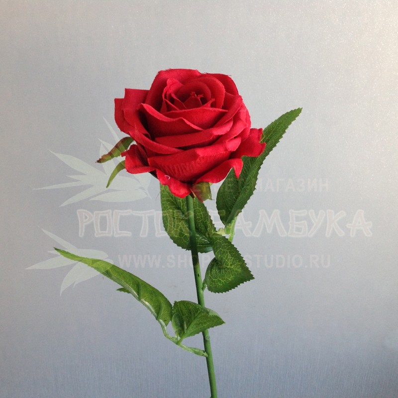Роза 49 см Бордо №2273.4