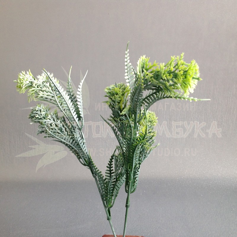 Цветы и травы луговые Светло-зеленый №2131.3