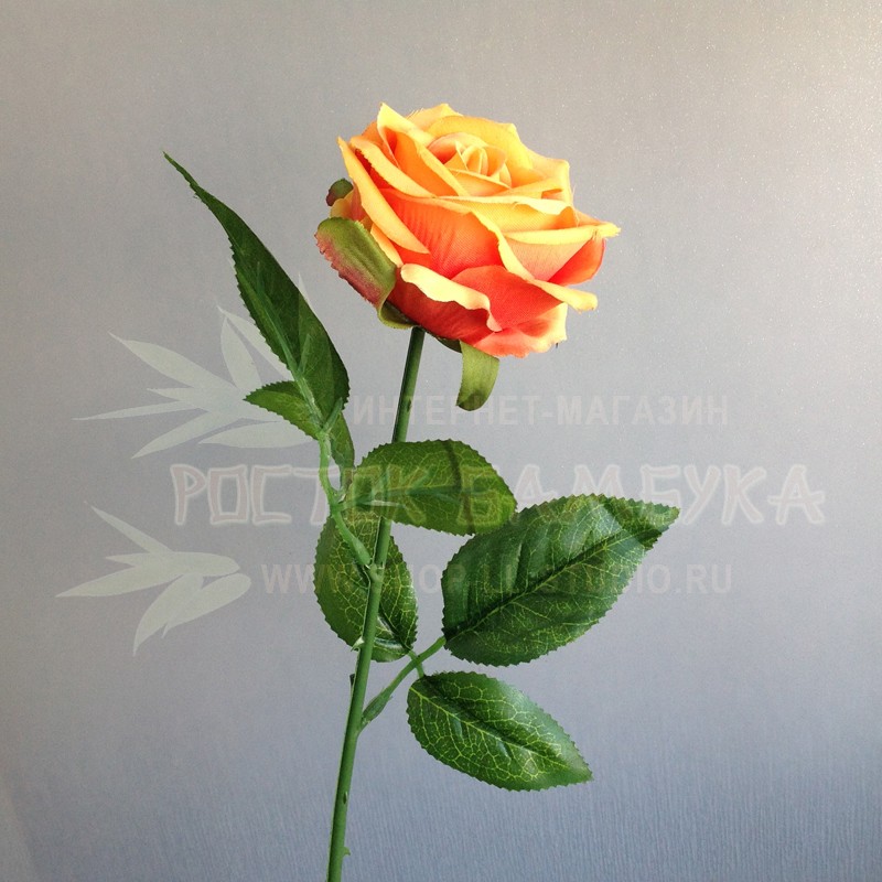 Роза 49 см Оранжевый/желтый №2273.7