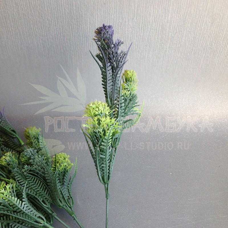 Цветы и травы луговые Фиолетовый №2131.5