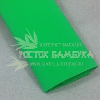 Фоамиран (Foamiran) Зеленый №6171