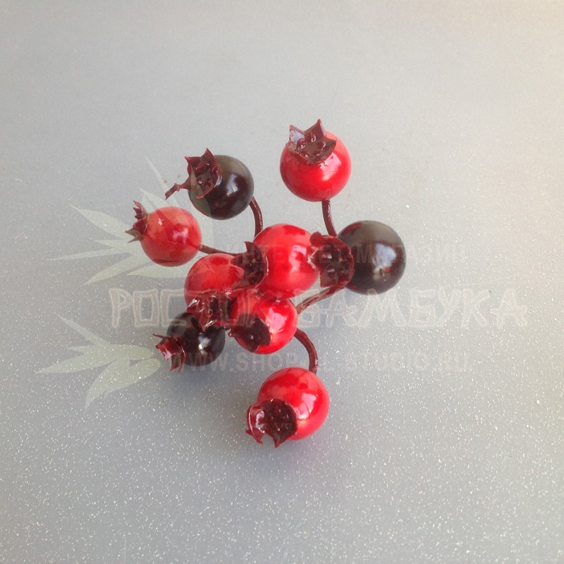 Шиповник гроздь Красный/бордовый №6705
