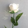 Роза 57 см в ассортименте №2231