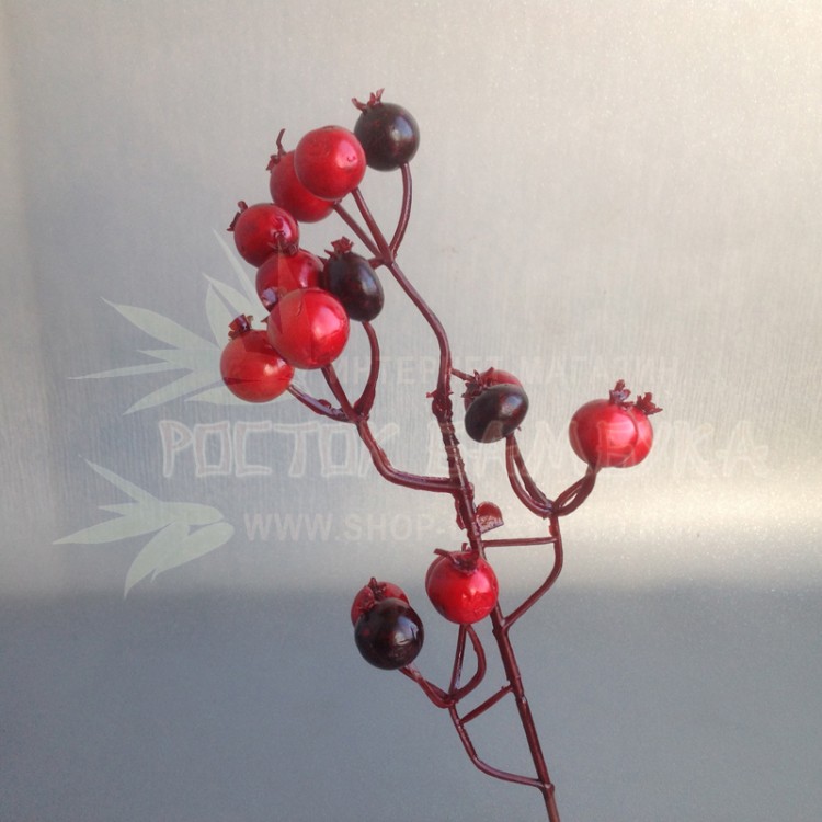 Связка ягод шиповника на проволоке, D1,2х9 см, 12 шт Красный