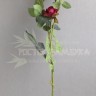 Роза кустовая (ветка 85 см) Бордо №6802.5