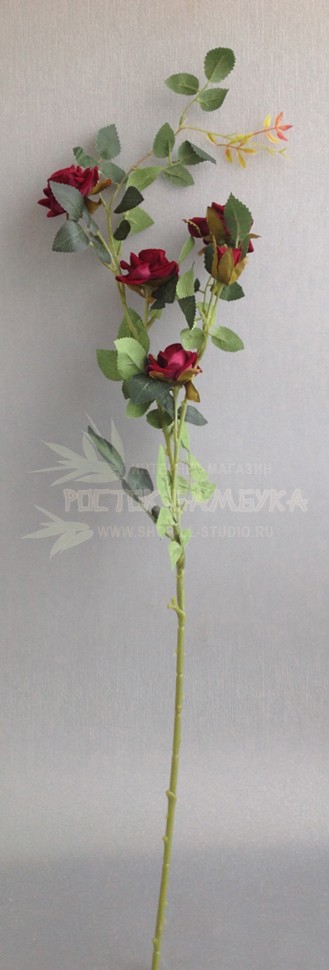 Роза кустовая (ветка 85 см) Бордо №6802.5