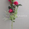 Роза кустовая (ветка 85 см) Малиновый №6802.6