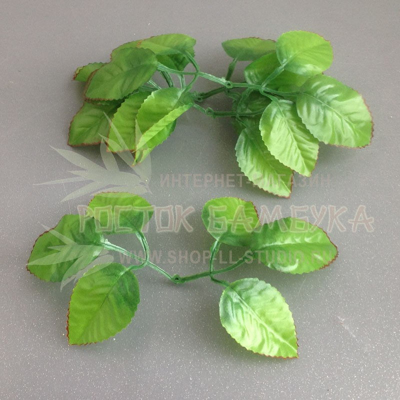 Листья розы (розетка 6 листьев) Светло-зеленые с обожженными краями №5086