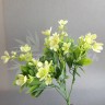 Цветы морозника Пастельно-зеленый №2152.1