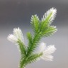 Ель лапка 25 см с белыми кончиками №6696.3