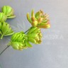 Суккуленты на ветке Красный/салатовый №2187.4