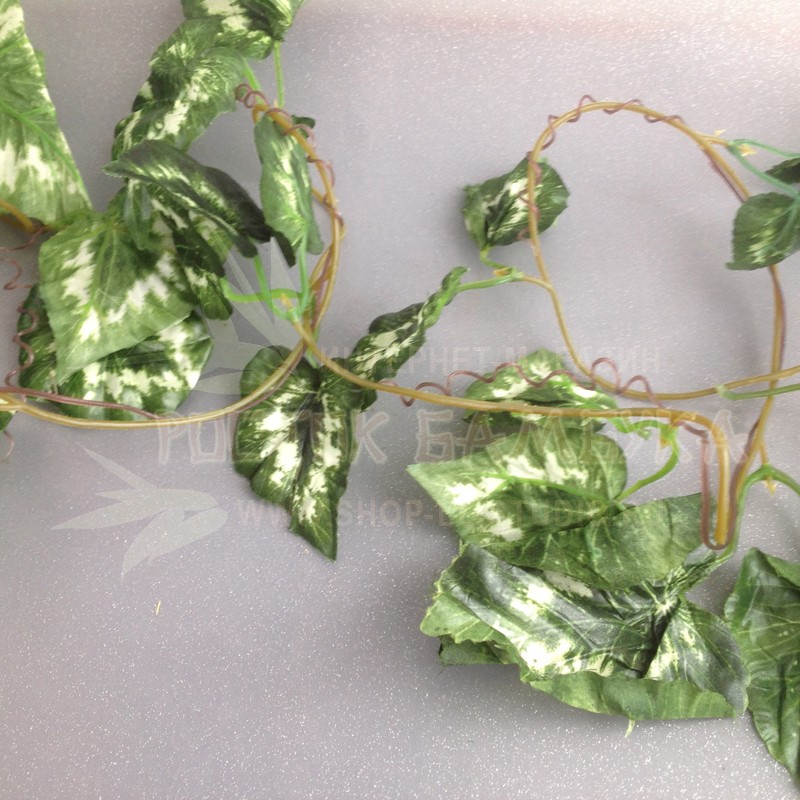 Сингониум листья лиана 2,7м Зеленый/белый №4703