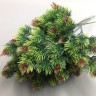 Бонсай хвойный ветка Зеленый/светло-зеленый 41х17 см №6469