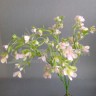 Цветы на ветке Нежно-розовый №2188.3