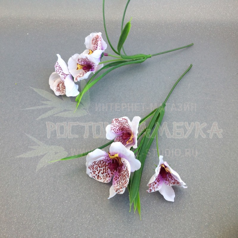 Орхидея  в букете Белый/сиреневый №6397.1