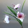 Орхидея  в букете Белый/сиреневый №6397.1