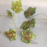 Смородина лист 2,7м Зеленые листья с коричневатой серединой №4706