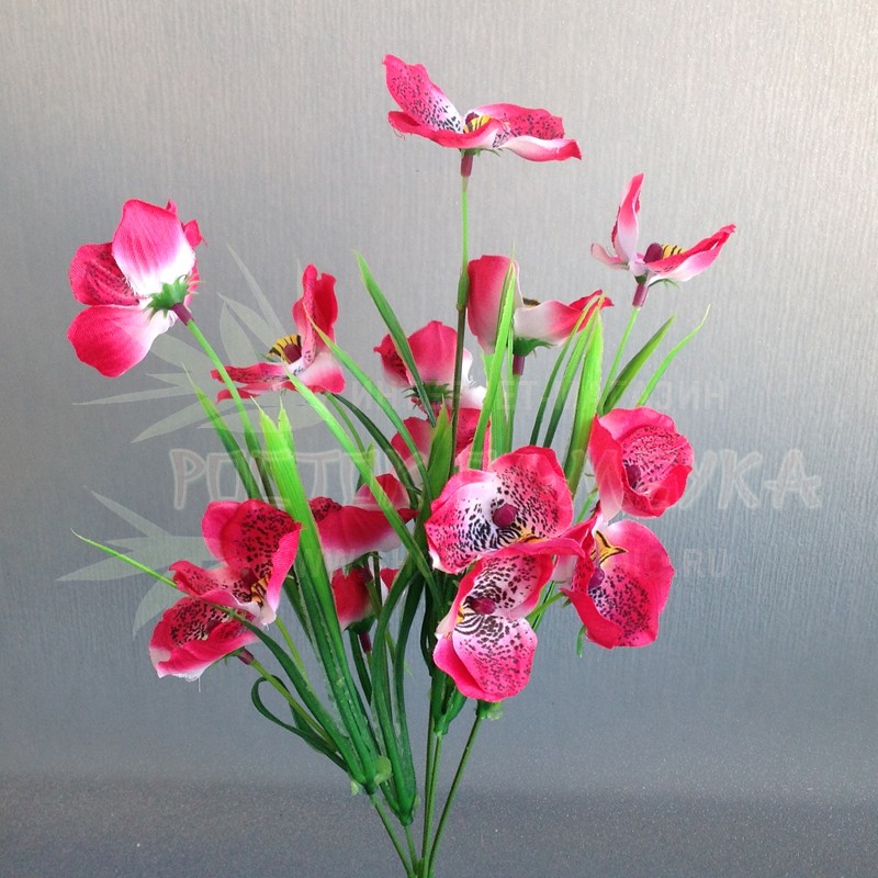 Орхидея  в букете Малиново-красный №6397.4