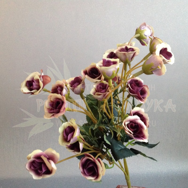 Бутоны розы Фиолетовый/кремовый №6365.7