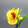 Орхидея  в букете Желтый №6397.5