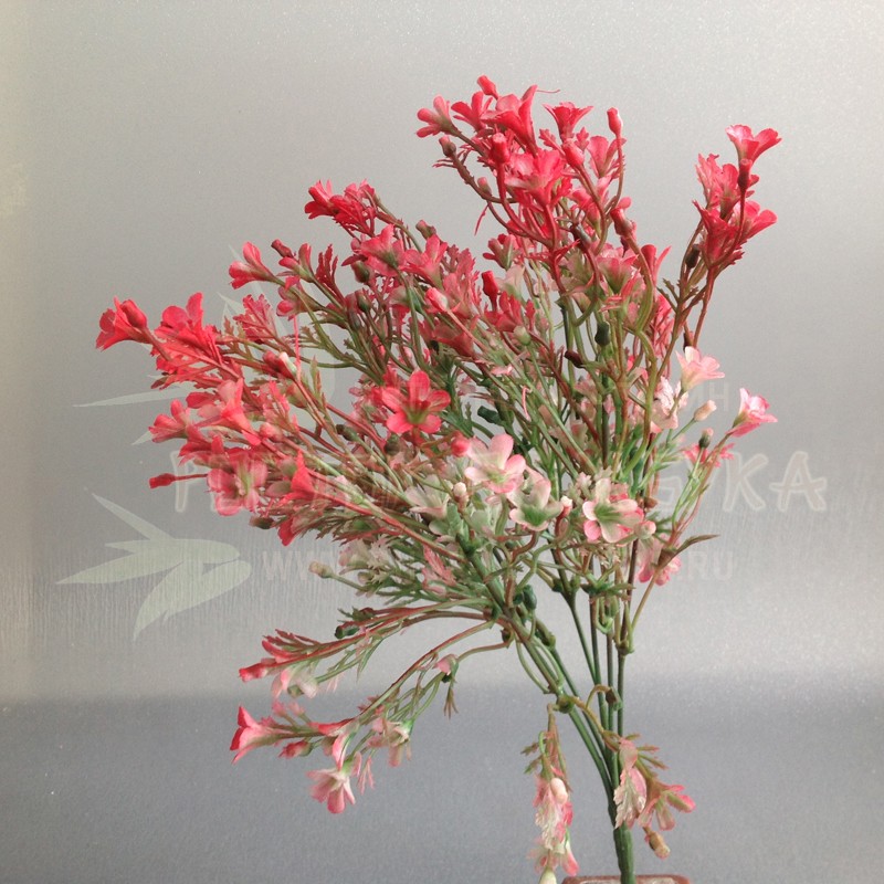 Первоцветы в букете Кораллово-красный №2200