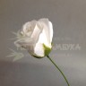 Роза мыльная (голова) 5 см Белый №2172