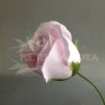 Роза мыльная (голова) 5 см Нежно-розовый №2172.2