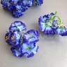 Цветок герани (диаметр 12 см) Фиолетово-синий/белый №2199.4
